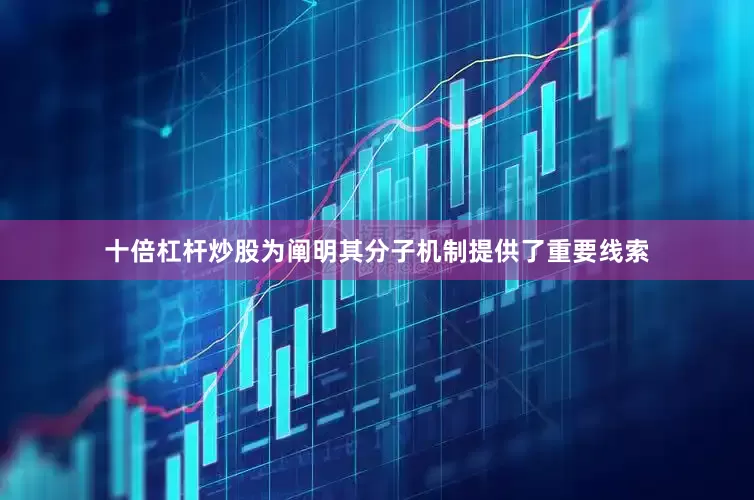 十倍杠杆炒股为阐明其分子机制提供了重要线索