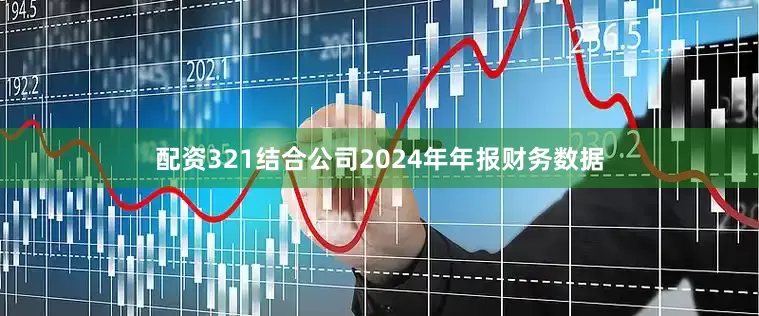 配资321结合公司2024年年报财务数据