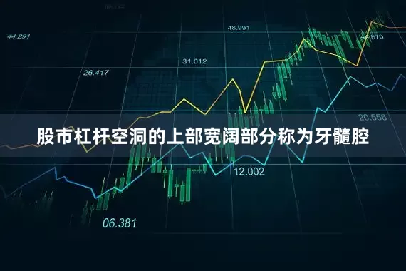 股市杠杆空洞的上部宽阔部分称为牙髓腔