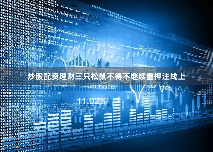 炒股配资理财三只松鼠不得不继续重押注线上