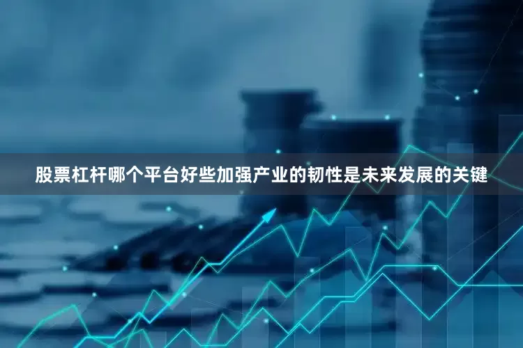 股票杠杆哪个平台好些加强产业的韧性是未来发展的关键