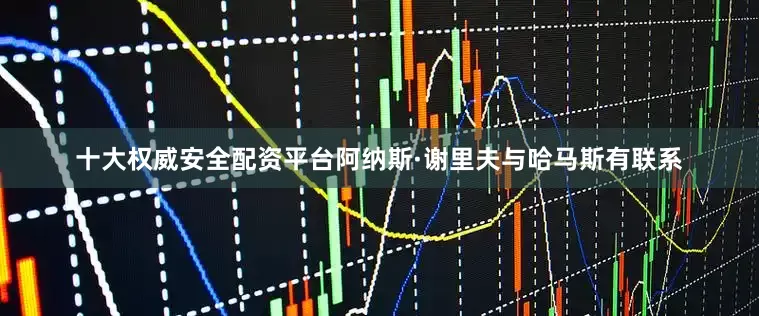 十大权威安全配资平台阿纳斯·谢里夫与哈马斯有联系