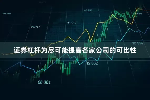 证券杠杆为尽可能提高各家公司的可比性