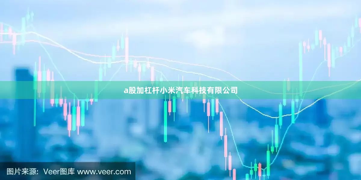 a股加杠杆小米汽车科技有限公司