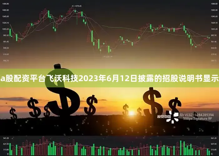 a股配资平台飞沃科技2023年6月12日披露的招股说明书显示