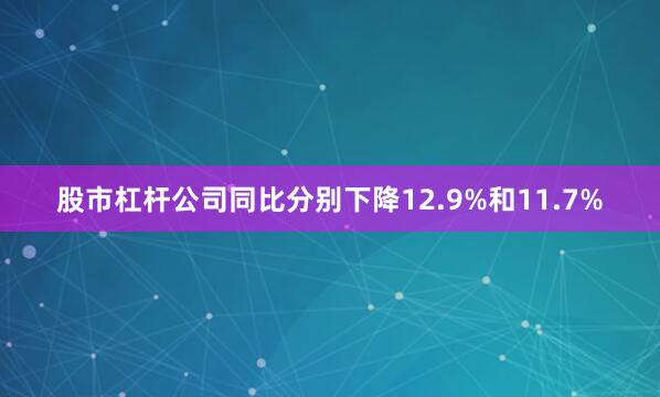 股市杠杆公司同比分别下降12.9%和11.7%