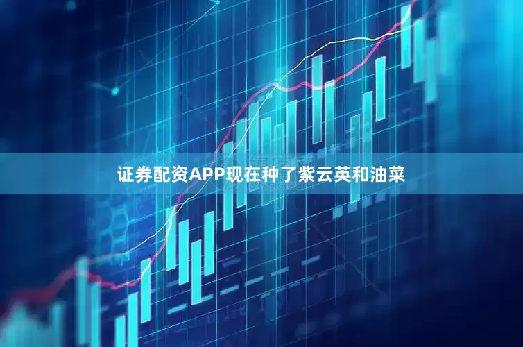 证券配资APP现在种了紫云英和油菜