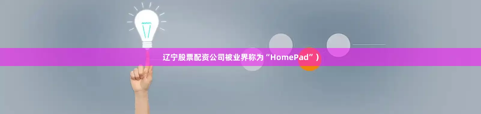 辽宁股票配资公司被业界称为“HomePad”）